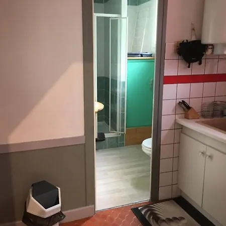 Enzo *